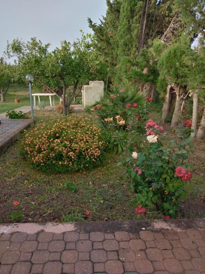 Appartamento In Orosei In Villa Delle Arance 300Mt Dalla Spiaggia Dış mekan fotoğraf