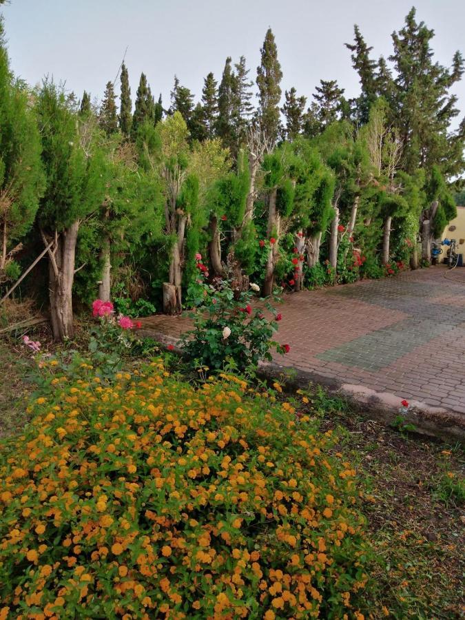 Appartamento In Orosei In Villa Delle Arance 300Mt Dalla Spiaggia Dış mekan fotoğraf