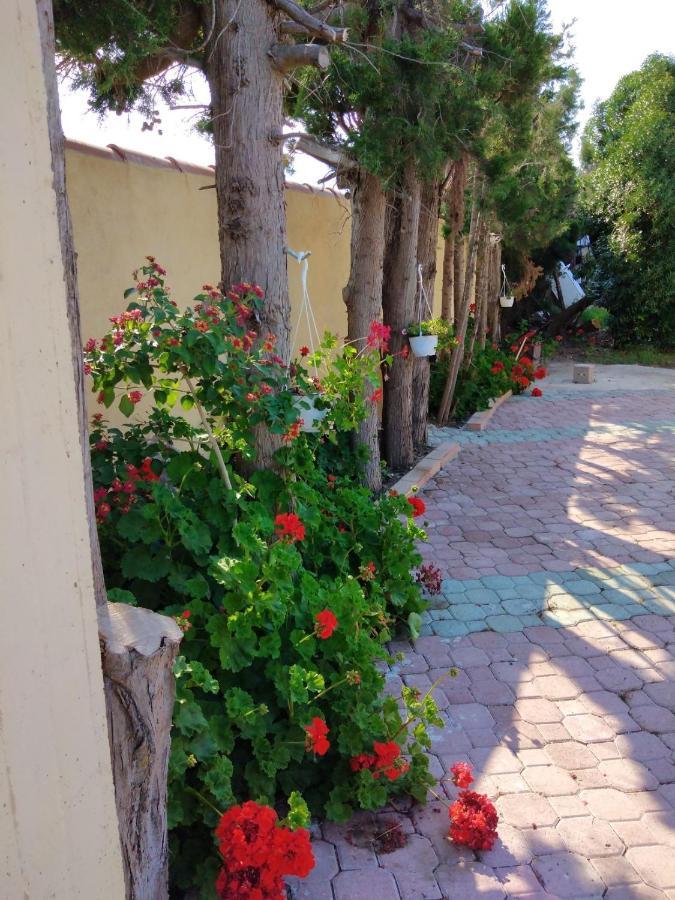 Appartamento In Orosei In Villa Delle Arance 300Mt Dalla Spiaggia Dış mekan fotoğraf